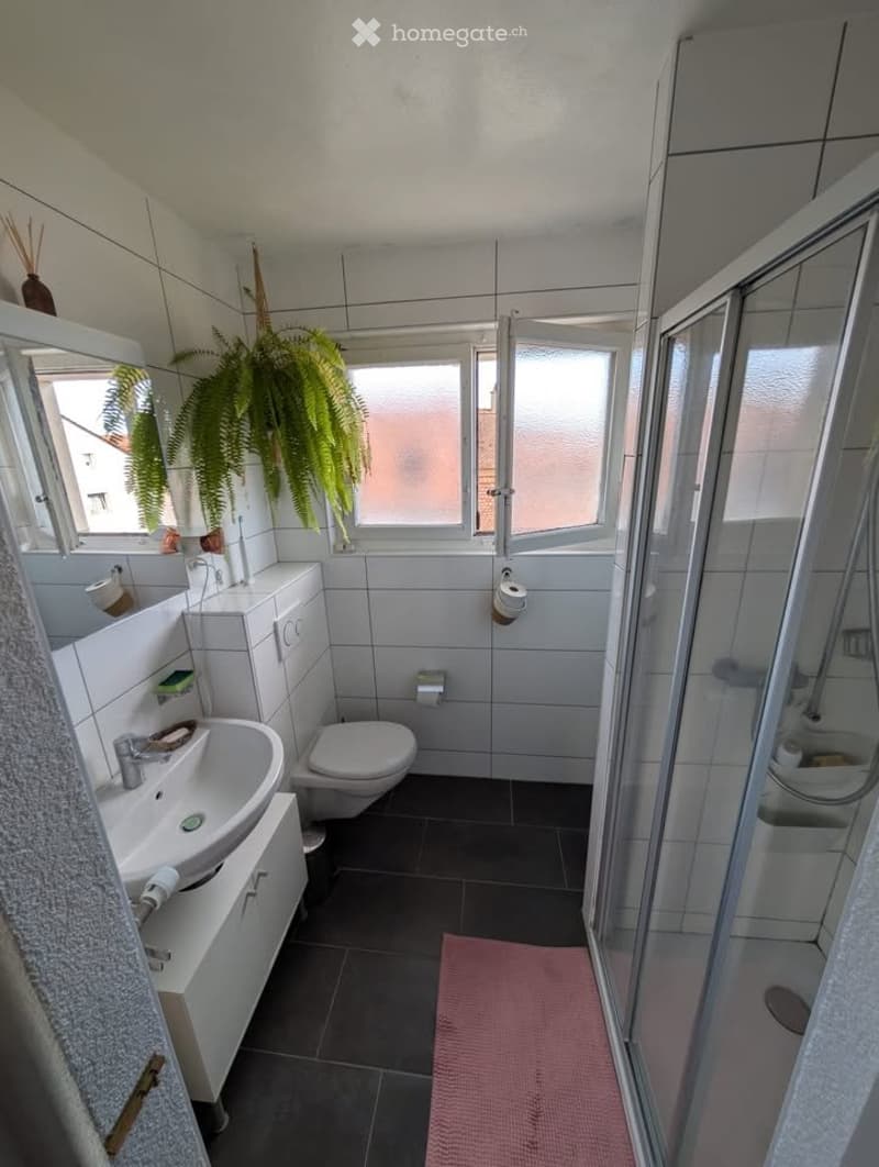 Sous-location appartement 2,5 pièces quartier d'Alt (4)