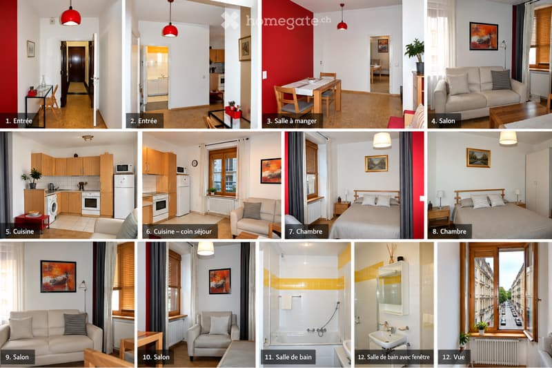 Appartement meublé de 2,5 p aux Charmilles / saint jean (1)