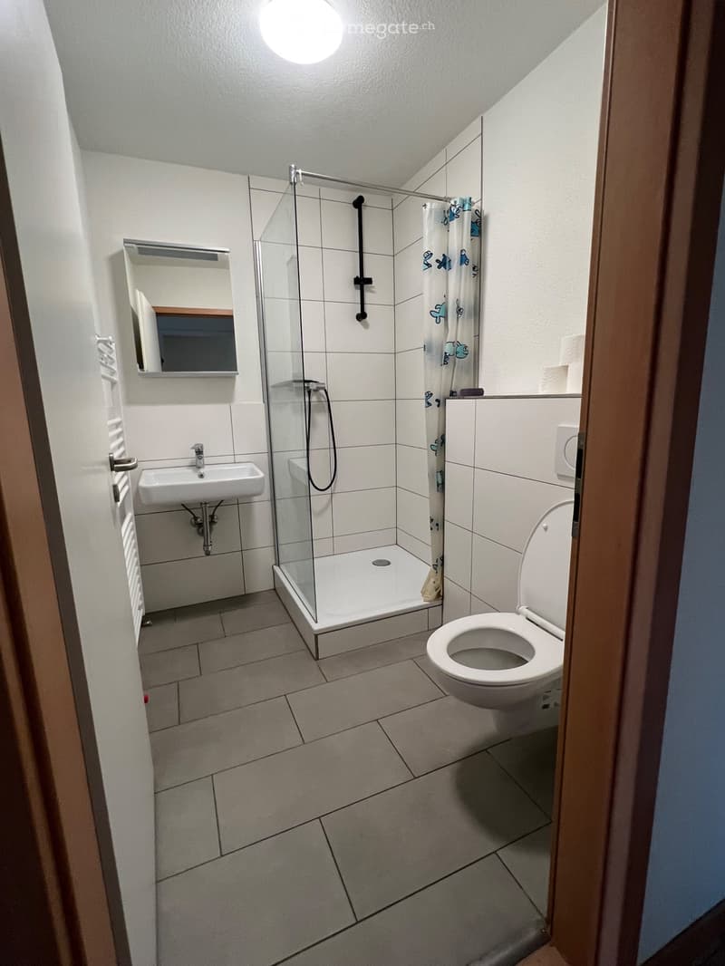 Helles, möbliertes Zimmer mit Balkon Wildegg (4)