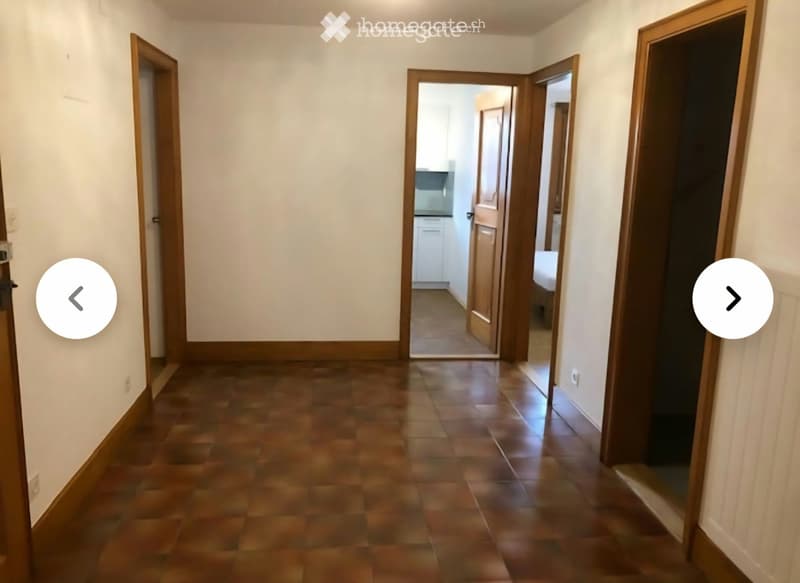 REPRISE DE BAIL GRUYÈRES | DÈS LE 1ER DÉCEMBRE URGENT (5)