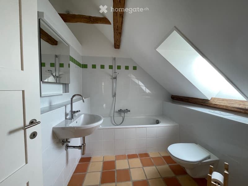Beau loft dans maison ancienne (4)