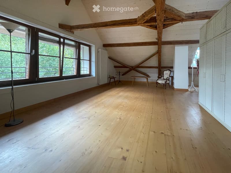Beau loft dans maison ancienne (1)