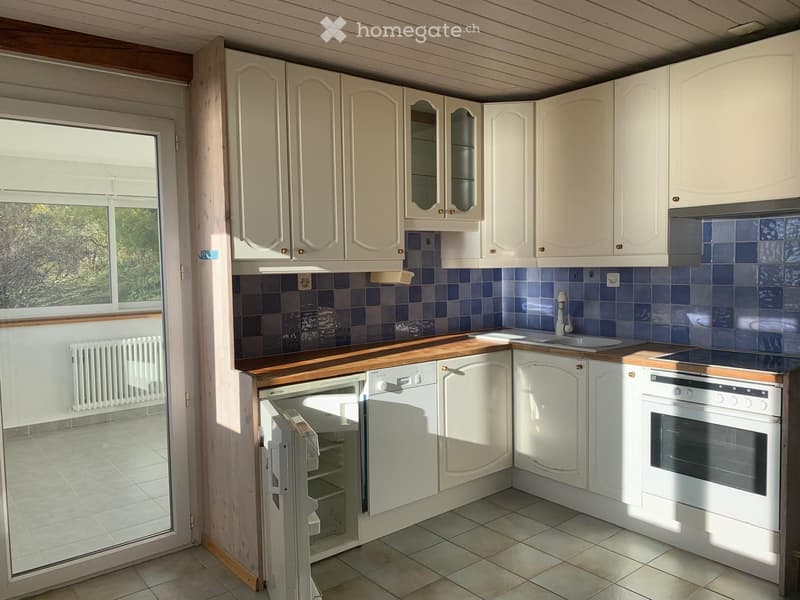 GRANDVAUX appartement, magnifique vue sur le lac Léman (4)