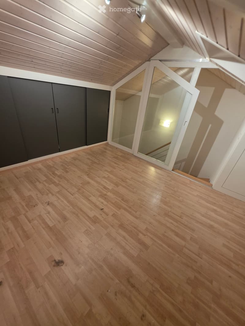 Appartement de 4 pièces à Plan-les-Ouates (2)