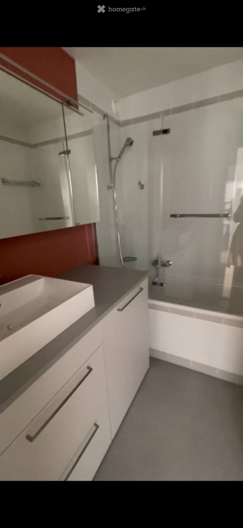 Bel appartement rénové de 5,5 pièces - Servette (1)