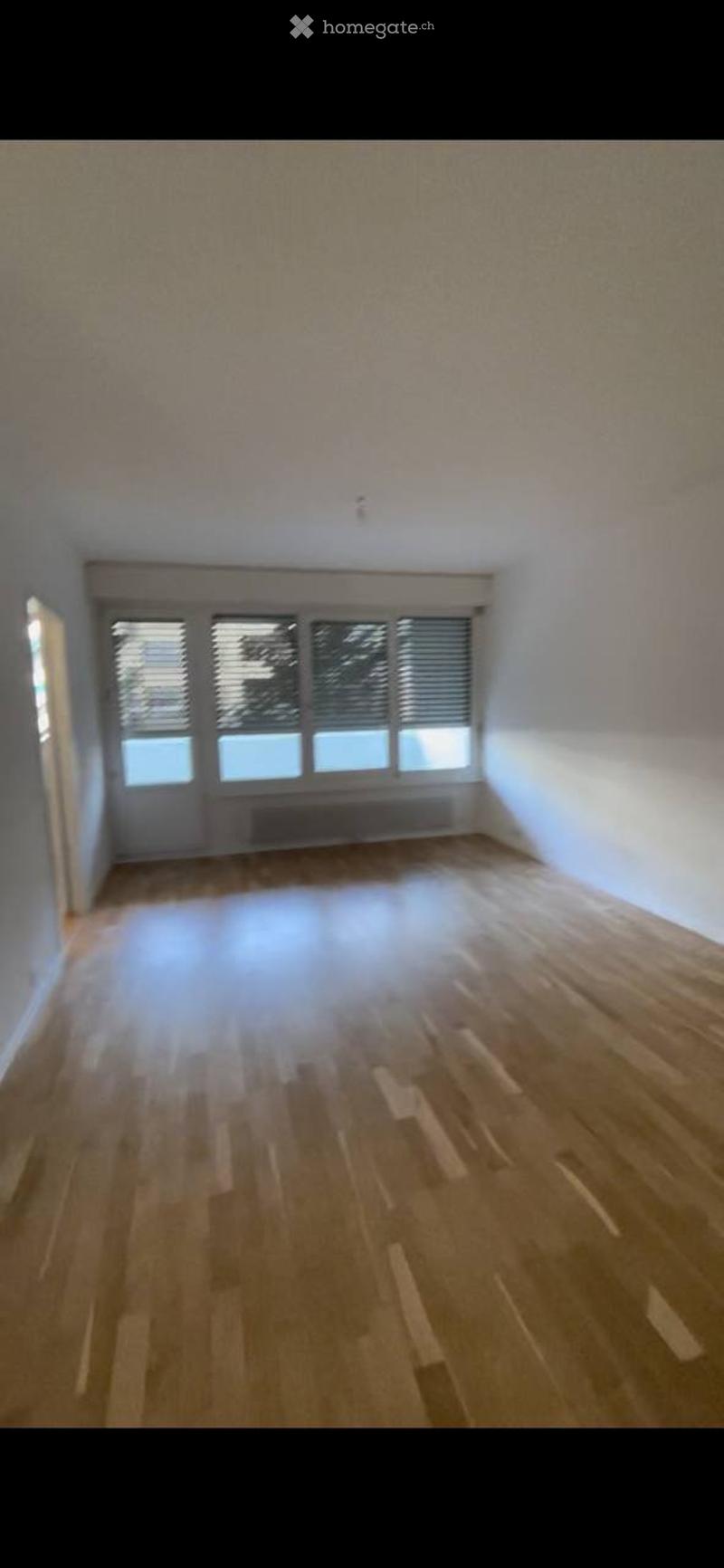 Bel appartement rénové de 5,5 pièces - Servette (3)