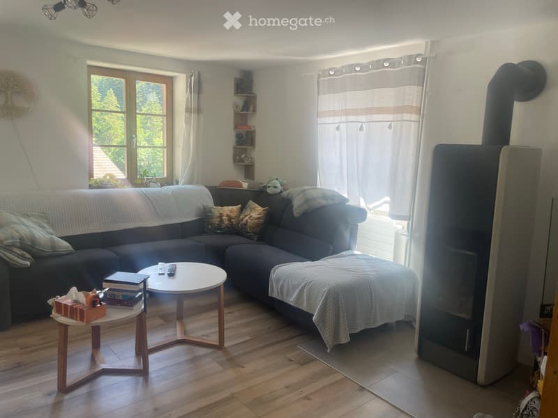 7.5 Zi. Wohnung in Jaun- Appartement de 7.5 pi. à Jaun (3)