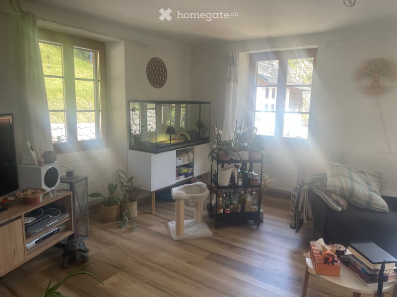 7.5 Zi. Wohnung in Jaun- Appartement de 7.5 pi. à Jaun (2)