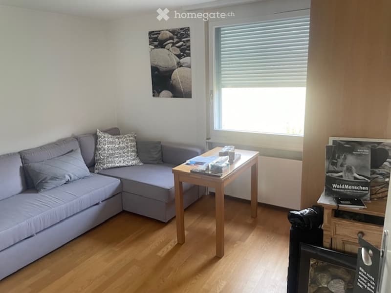 Vermiete ein Zimmer (1)