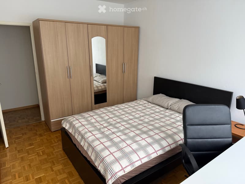 Une Chambre a louer Meyrin/CERN (2)