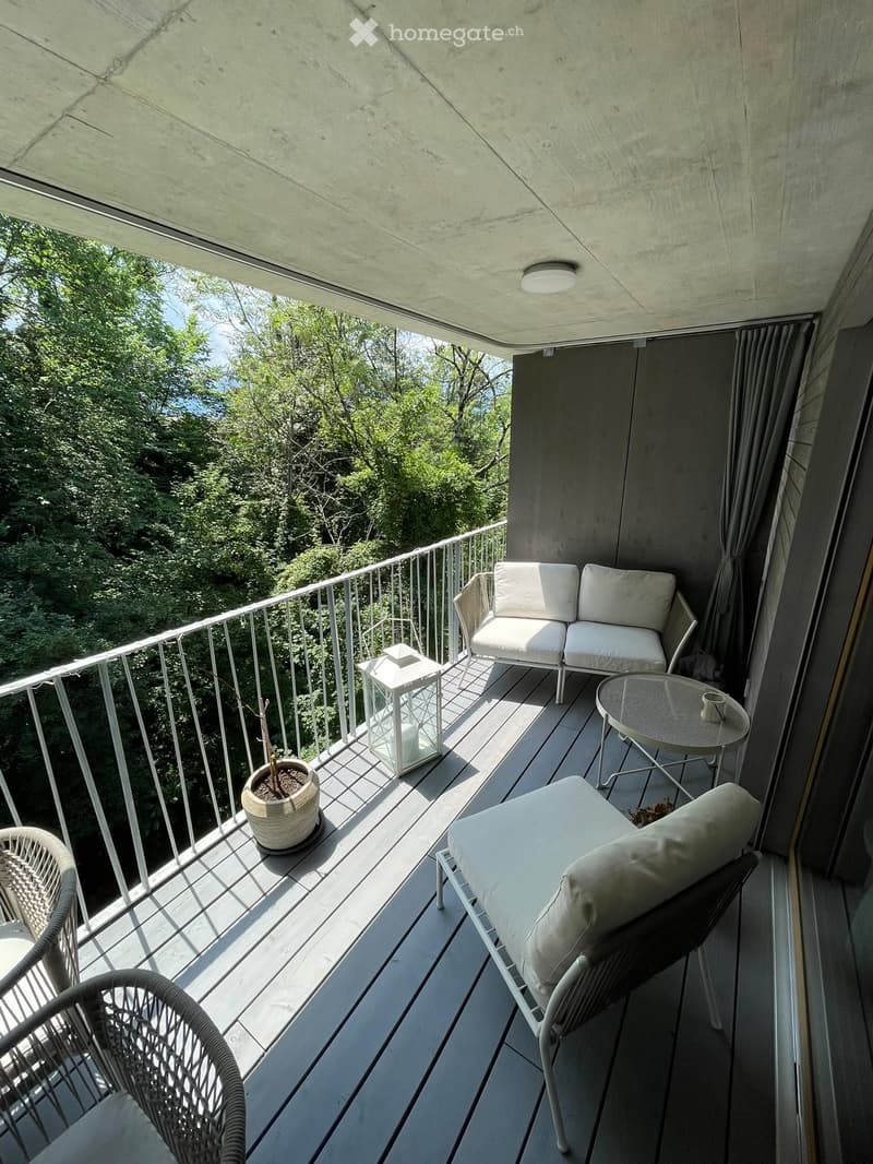 Magnifique Appartement de 2,5 pièces à louer (4)