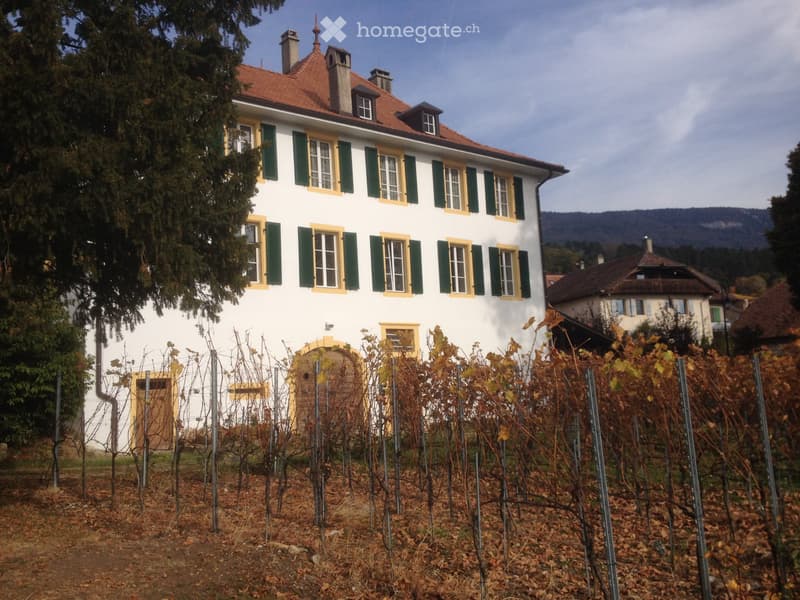 Grand appartement de 5½ pièces 135 m² Bonvillars (1)