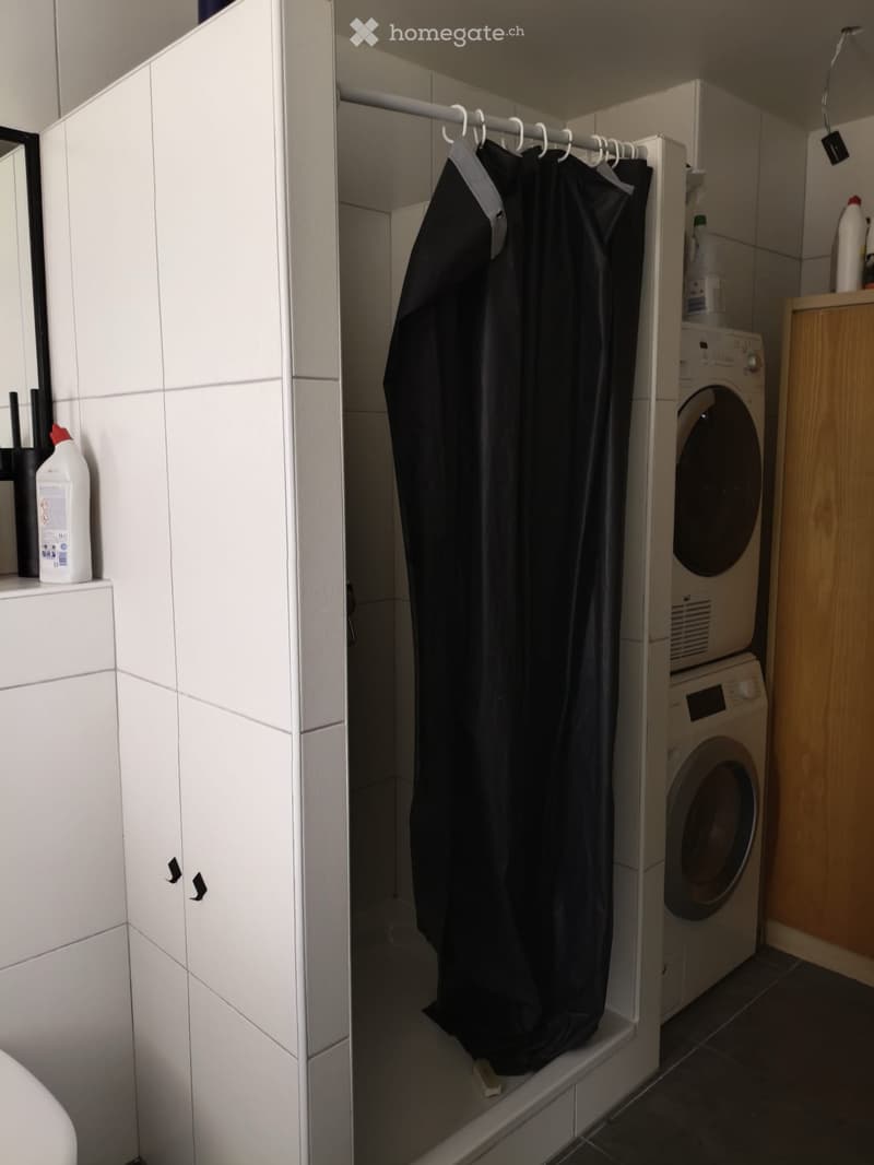Grand appartement a louer a Marin-Epagnier (5)