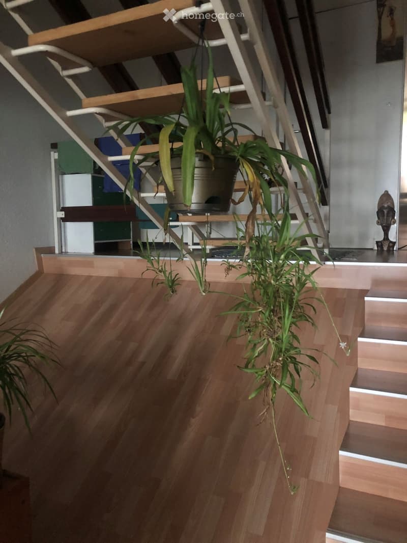 3 pièces traversant de 79 m² avec balcon et vue sur le lac (4)