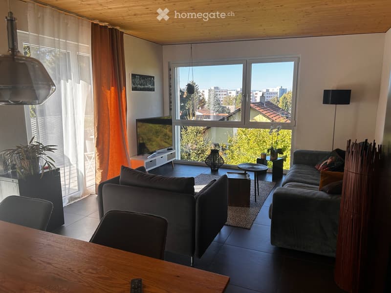 superbe appartement (2)