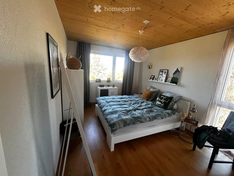 superbe appartement (4)