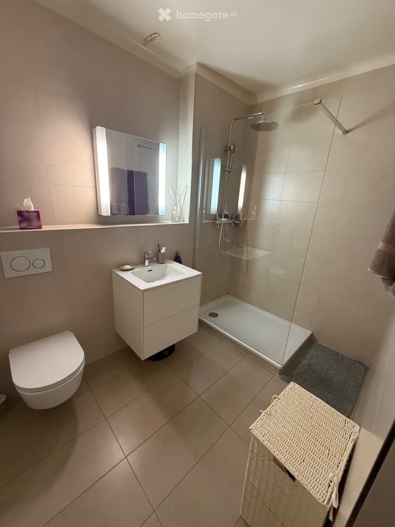Un appartement de caractère au coeur de Lausanne de 4.5 p. (6)