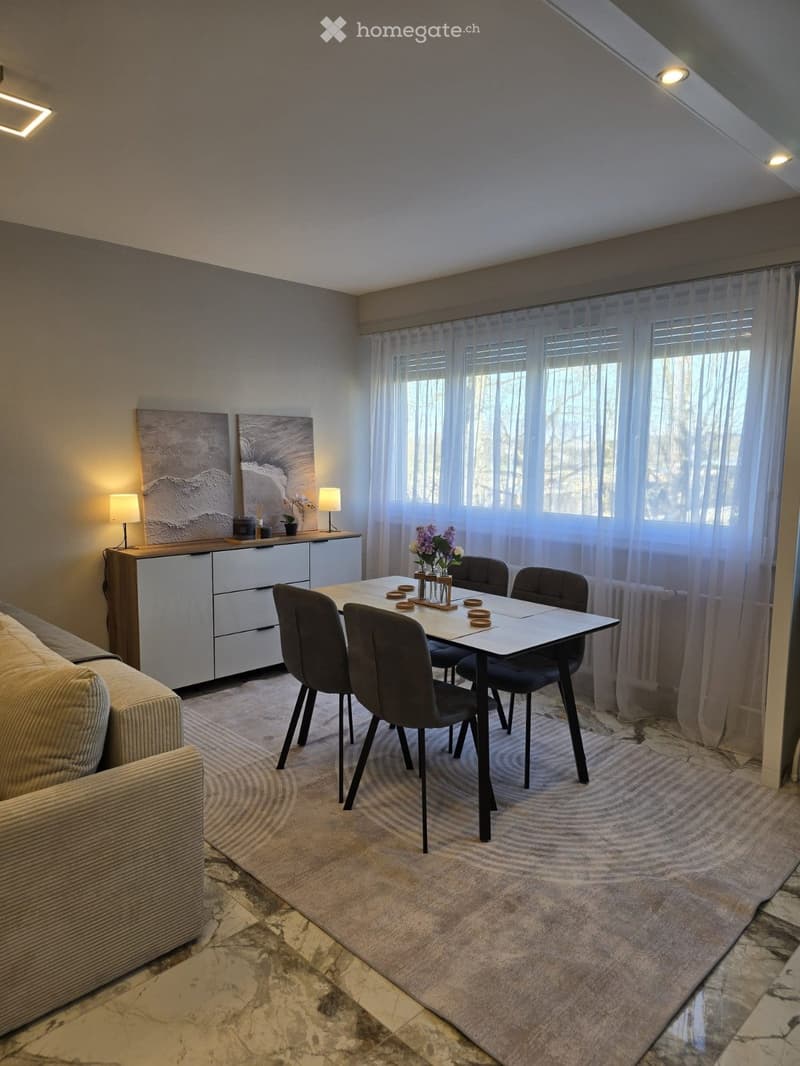 BEL APPARTEMENT 4 PIÈCES MEUBLÉ MEYRIN (2)