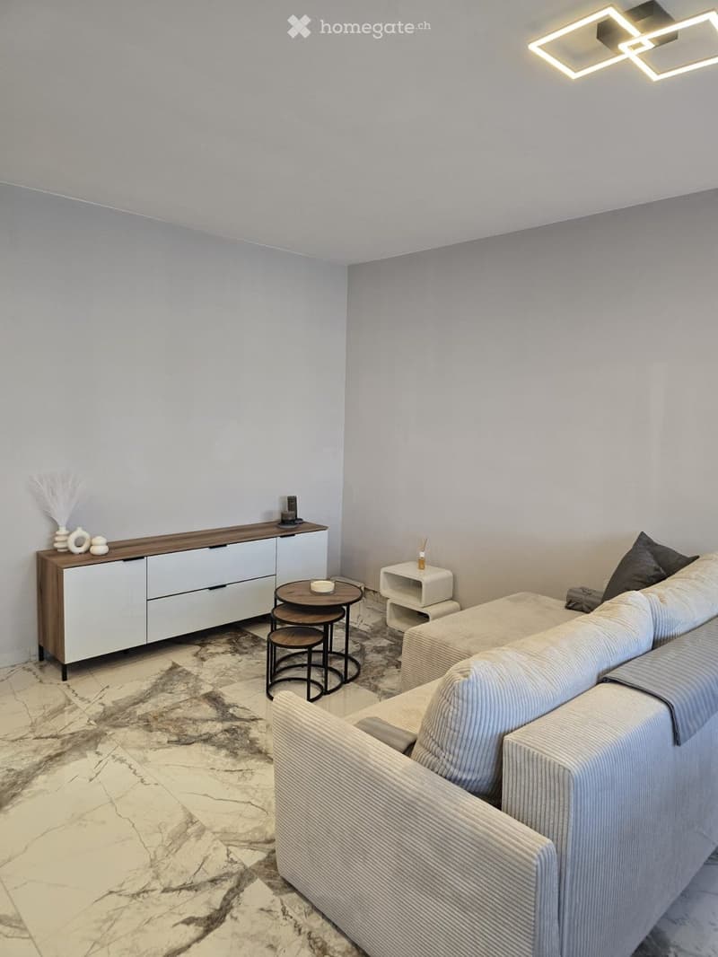 BEL APPARTEMENT 4 PIÈCES MEUBLÉ MEYRIN (3)