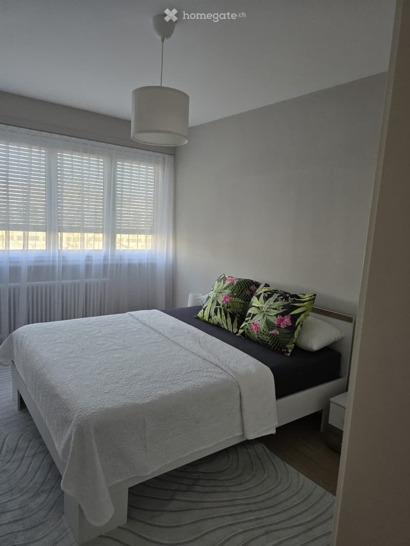 BEL APPARTEMENT 4 PIÈCES MEUBLÉ MEYRIN (5)