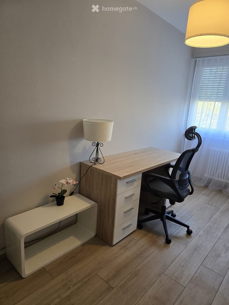 BEL APPARTEMENT 4 PIÈCES MEUBLÉ MEYRIN (6)