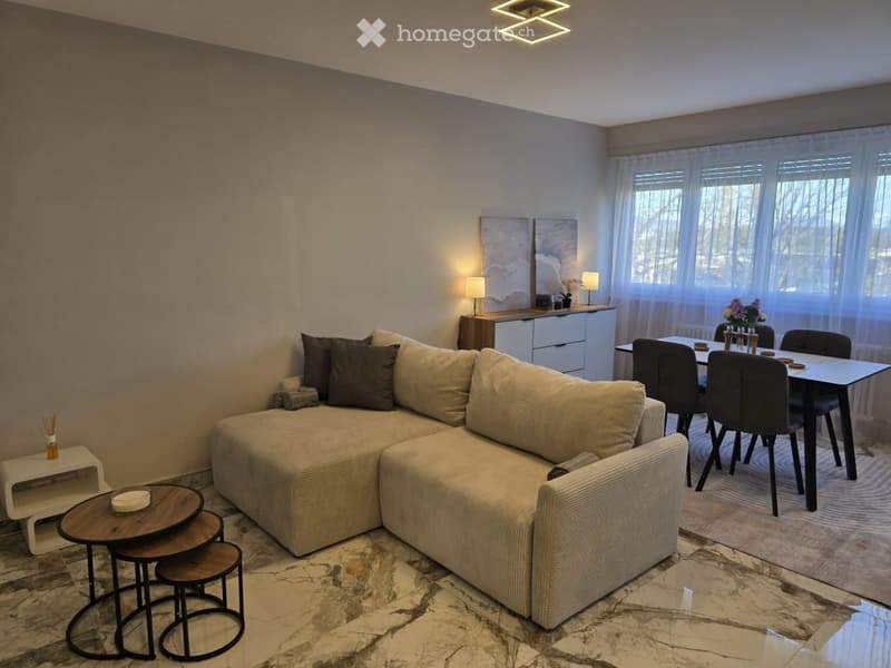 BEL APPARTEMENT 4 PIÈCES MEUBLÉ MEYRIN (1)