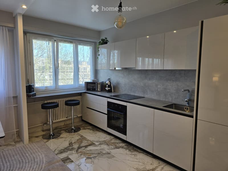 BEL APPARTEMENT 4 PIÈCES MEUBLÉ MEYRIN (4)