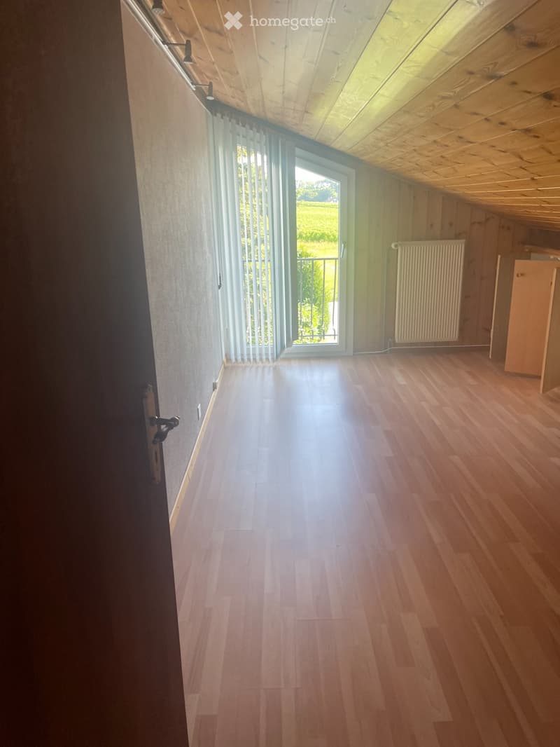 Grand appartement de 3.5 pièces mansardé, sous les combles (5)