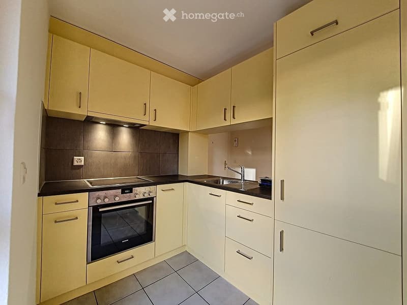 Appartment a louer 1.5p (2)