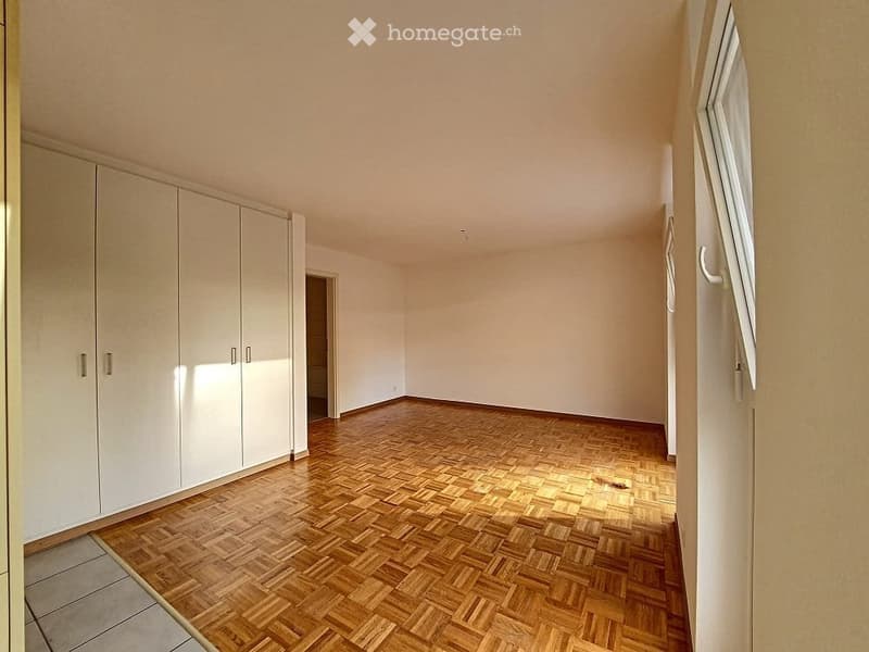 Appartment a louer 1.5p (1)