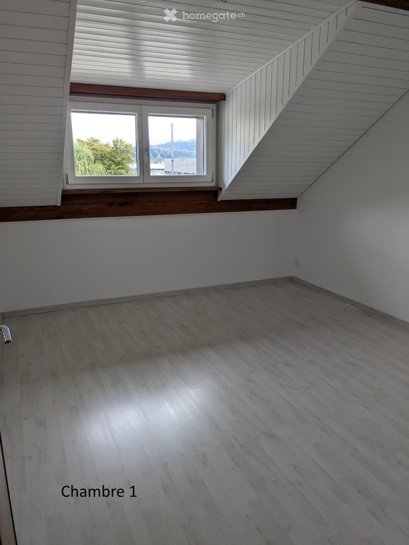 Bel et lumineux appartement (3)