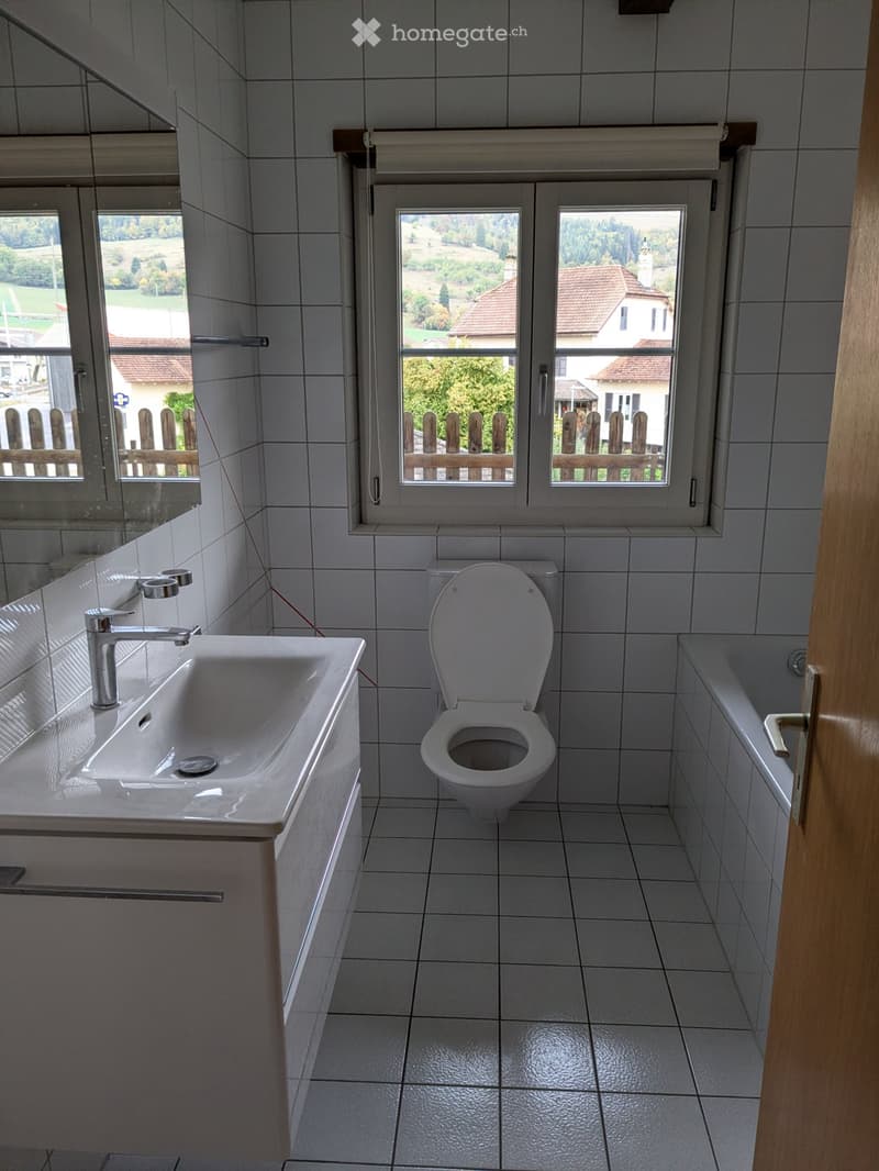 Bel et lumineux appartement (8)