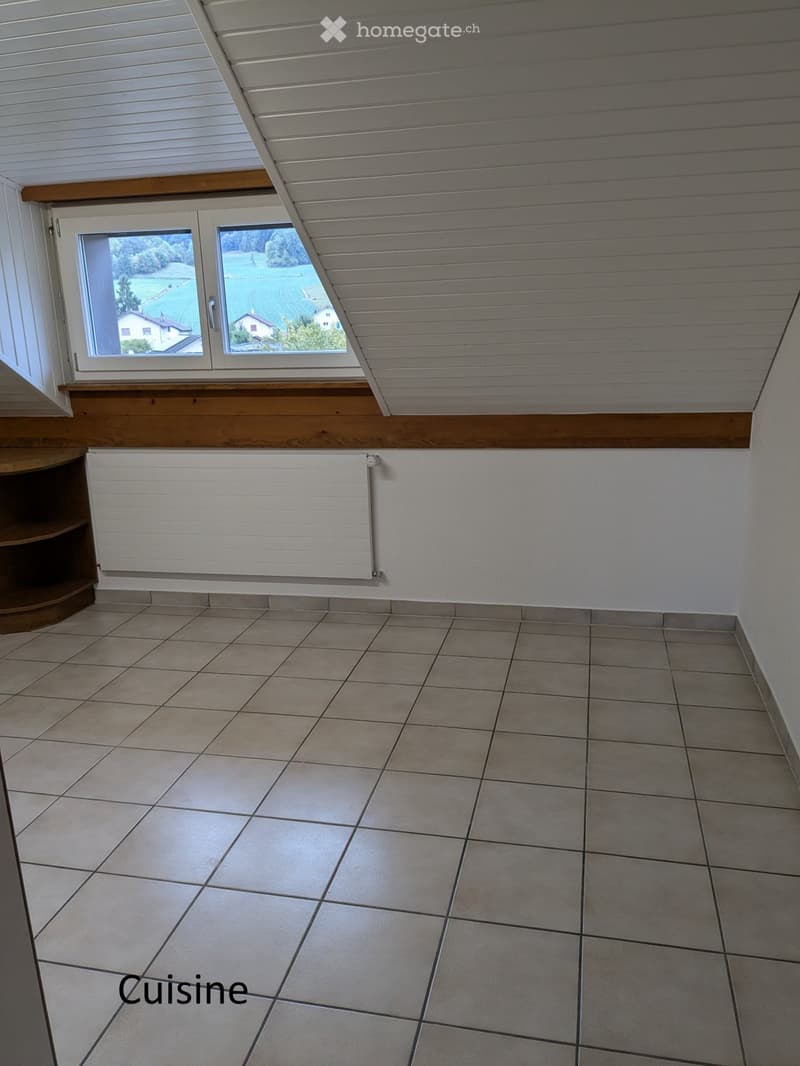 Bel et lumineux appartement (2)