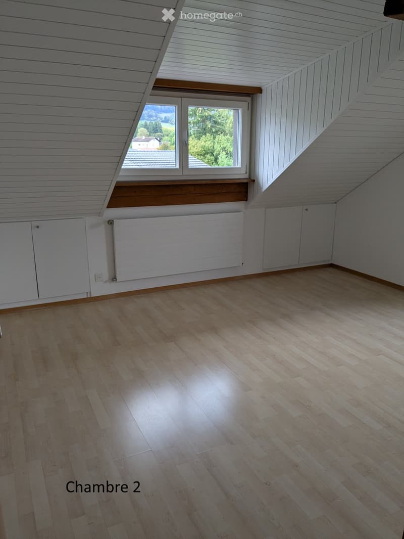 Bel et lumineux appartement (4)