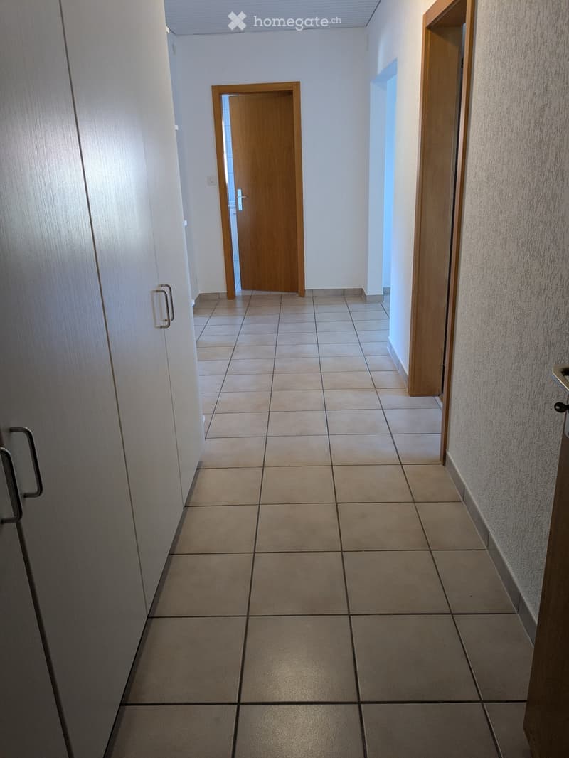 Bel et lumineux appartement (7)