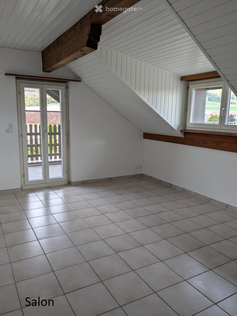 Bel et lumineux appartement (5)