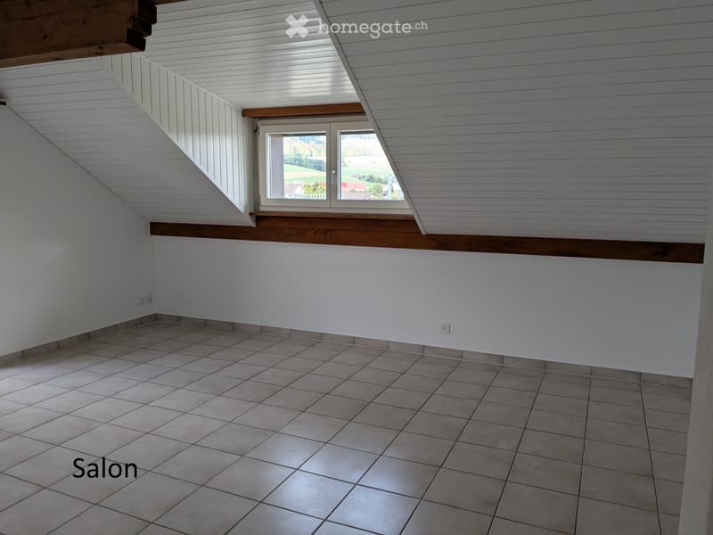 Bel et lumineux appartement (6)