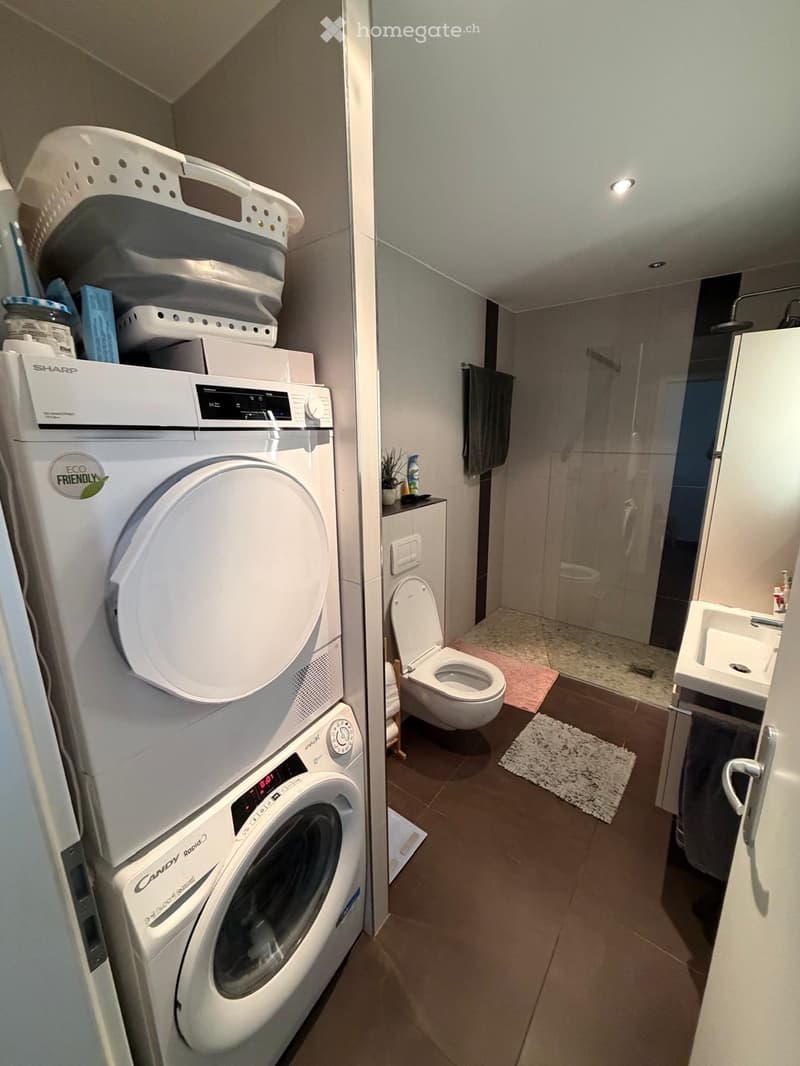 Appartement 3,5 (4)