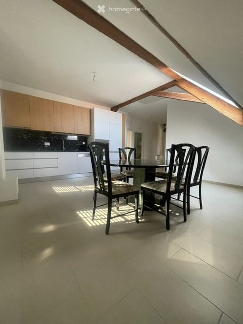 Sugiez: Magnifique appartement 3pièces neuf à louer (4)