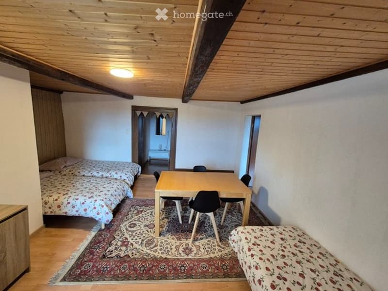 Studio meublé avec douche, wc et kitchenette (4)