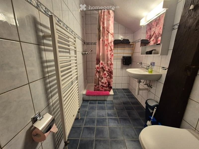 Chambre meublée avec douche, wc et kitchenette (1)