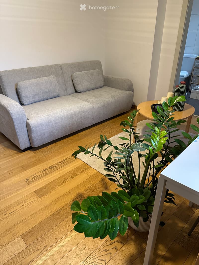 Sion, appartement sous les toits, 100m de la vieille ville (2)