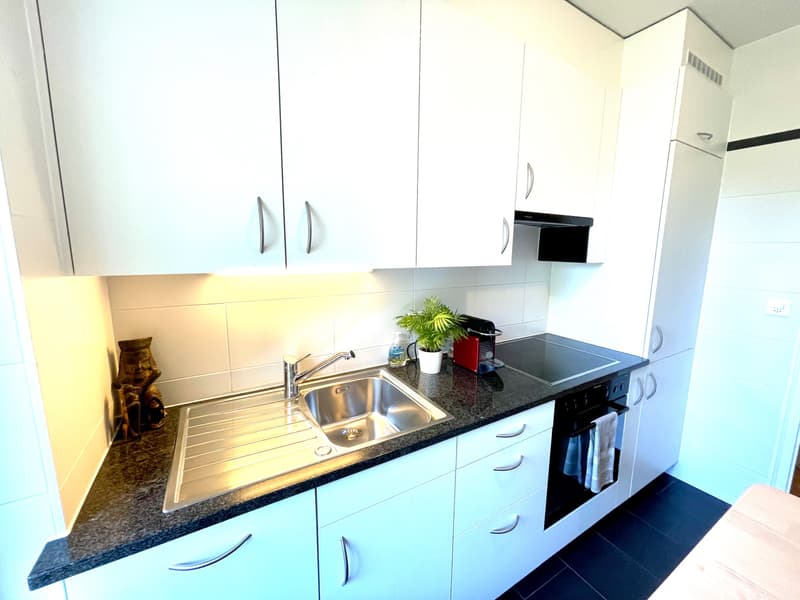 Magnifique Appartement de 2,5 pièces Lausanne (3)
