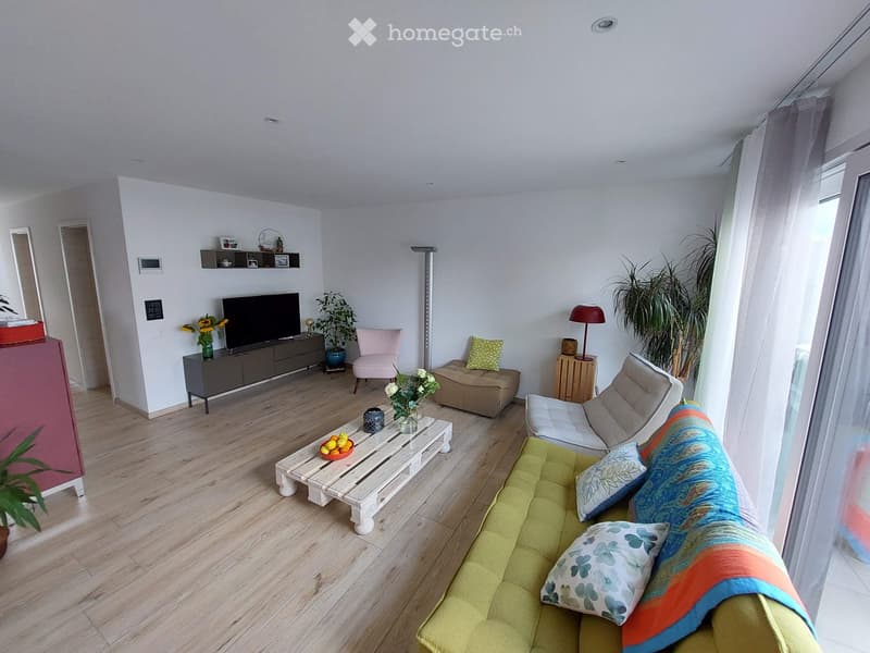 Appartement moderne et lumineux de 3.5 pces (1)