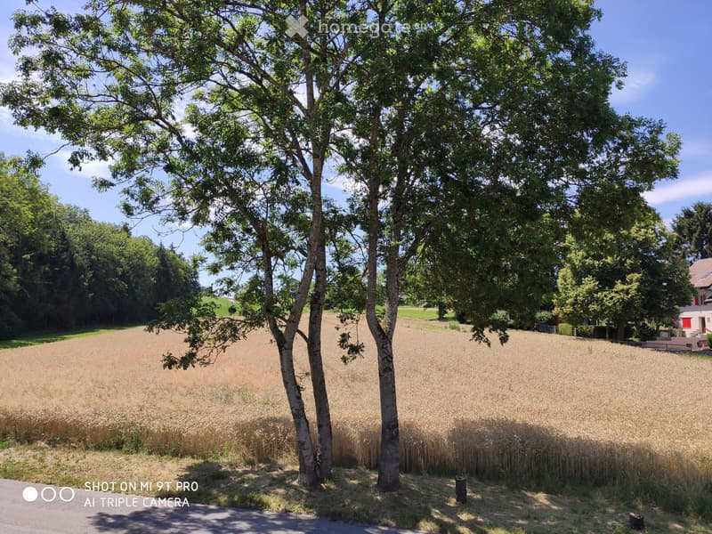 Duplex - 3.5 pièces - 100 m2 (1)