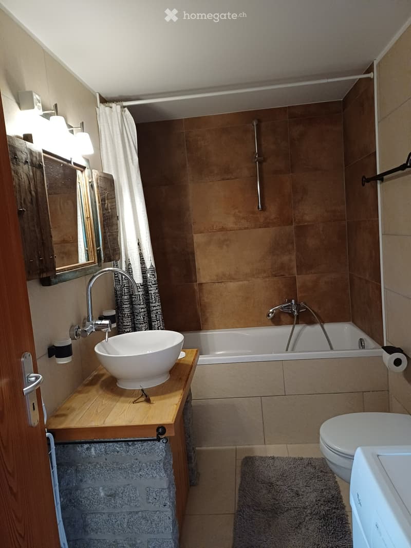 Magnifique appartement de 2p. à louer annuellement dès 05/27 (3)