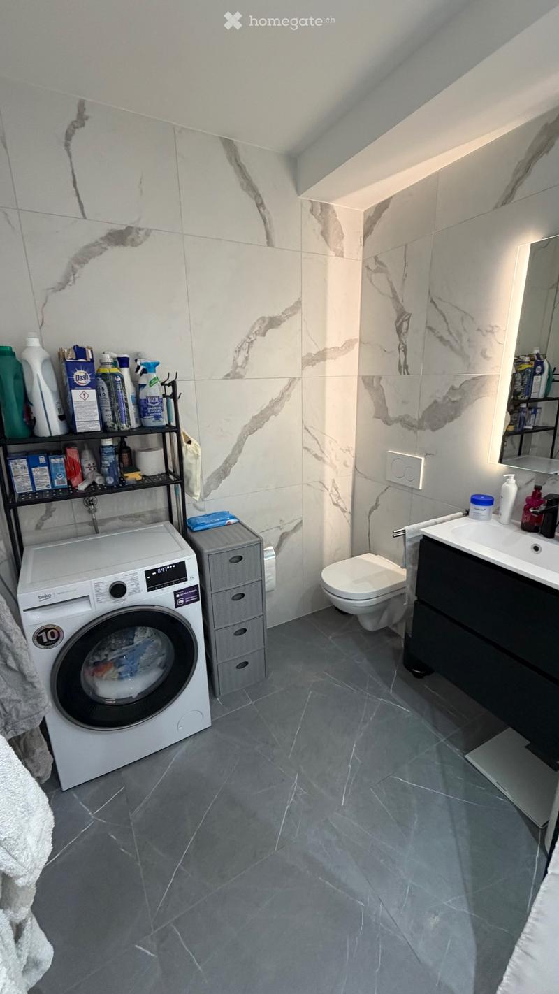 Appartement de 2 pièces à louer  La Chaux-de-Fonds (3)