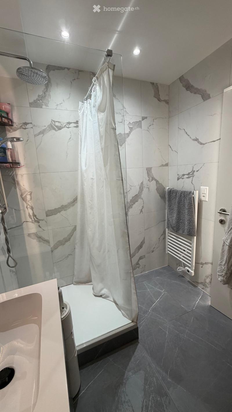 Appartement de 2 pièces à louer  La Chaux-de-Fonds (4)
