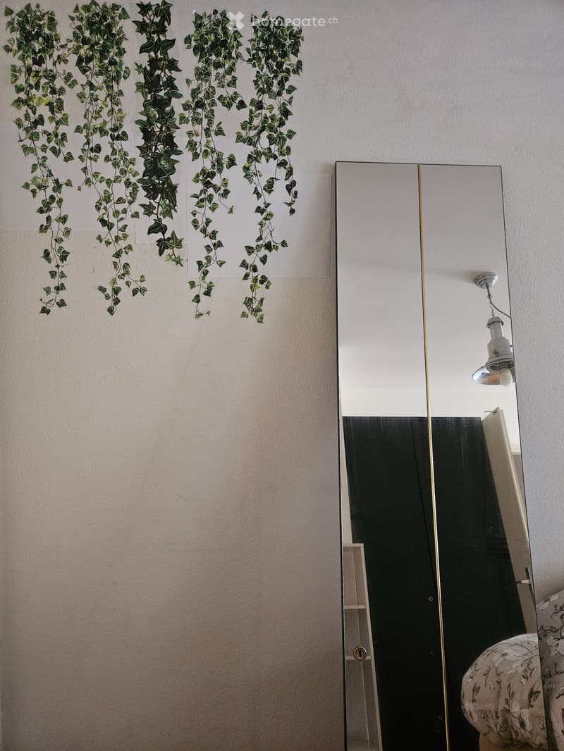 Chambre à louer pour un(e) stagiaire ou un(e) étudiant(e) (4)