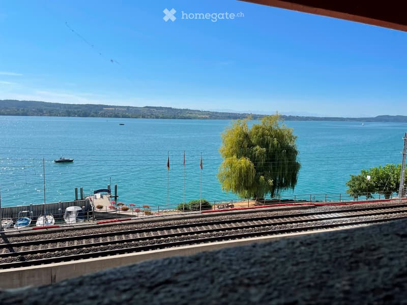 Wohnen am Bielersee! Wohnung mit Seesicht in Tüscherz (5)